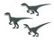 Velociraptor dinosaur set