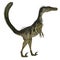 Velociraptor Dinosaur Side Profile