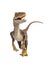 Velociraptor Dinosaur on white background