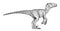 Velociraptor illustration, drawing, engraving, ink, line art, vector