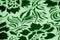 Velor green fabric Velvet pattern carved from under an uncircumcised pile of heaps Velvet Burntout Devore this type It`s just a