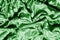 Velor green fabric Velvet pattern carved from under an uncircumcised pile of heaps Velvet Burntout Devore this type It`s just a