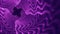 Velvet Violet Smoke Swirls on Black Abstract Fractal Gnarls Background