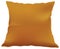 Velveteen Orange Pillow