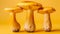 Velvety pioppini mushrooms, agrocybe aegerita, on a soft pastel colored background