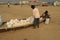 Vendors preparing shells for selling