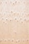 Veneer plywood texture background