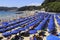 Venere Azzurra Beach, Lerici, Italy, Ligurian Riviera