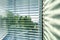 Venetian blinds, solar shades