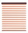 Venetian blinds vector