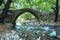 Venetian bridge over mountain river