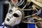 Venetian carnival mask