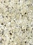 Venetian granite background