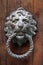 Venetian lion head door knob