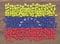 Venezuela Flag Puzzle