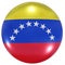 Venezuela national flag button