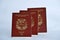 Venezuelan Passports