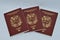Venezuelan Passports