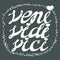 Veni Vidi Vici - inspirational motivational quote or tattoo desi