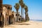 Venice Beach in Los Angeles California travel destination picture