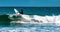 Venice Beach Surfer