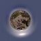 Venice Beach Tiny Planet 360