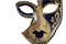 Venice Carneval Mask