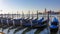 Venice - Group of gondolas moored by Saint Mark square in city of Venice, Veneto, Northern Italy