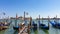 Venice - Group of gondolas moored by Saint Mark square in city of Venice, Veneto, Northern Italy