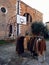 Venice, Italy - February 2019: Small and vintage market in a basket court inside a school, in Cannaregio, Venice