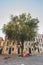 Venice, Italy - July 14th, 2017.Beautiful large tree in the middle of the square in Italy in Venice. Shop with an elderly cute