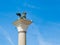 Venice, Italy, St. Mark`s Square Piazza San Marco detail of Column of the Lion