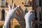 Venice, Lorenzo Quinnâ€™s hands support the city against climate change