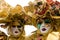 Venice Mask, Carnival.