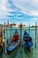 Venice panorama view.
