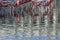 Venice, red chairs of a Restaurant in St Mark Square