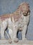 Venice - Relief of lion on the facade of Scuola Grande di San Marco.