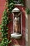 Venice, statue in a niche with ivy