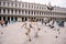 Venice Wedding, Italy. The bride and groom are running through a flock of flying pigeons in Piazza San Marco, amid the