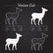 Venison meat cut diagram scheme - blackboard