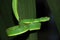 Venomous green tree pit viper, costa