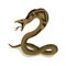 Venomous snake. Danger color animal. Poisonous reptile crawl. Decorative character, wildlife nature animal