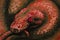 Venomous snake, oil painting, handmade