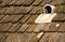 A vent on a traditional wooden roof.