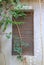 Ventilation wooden window covered with ivy