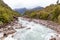 Ventisquero River on trail to Glacier, near the village of Puyuhuapi, Chile.