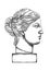 Venus de Milo head sculpture drawn in engraving technique