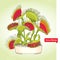 Venus Flytrap or Dionaea muscipula in the round flowerpot on the light green background. Illustrated series of carnivorous plants.