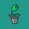 Venus Flytrap plant in a flowerpot isolated on green background