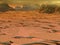 Venus surface landscape